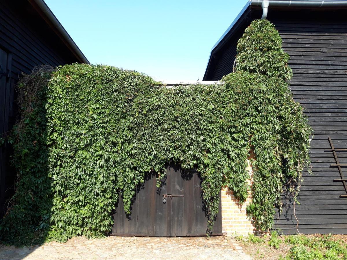 Ein Bett Im Kornfeld - Haus Morgensonne - Mit Innenpool * Schonfeld (Mecklenburgische Seenplatte)
